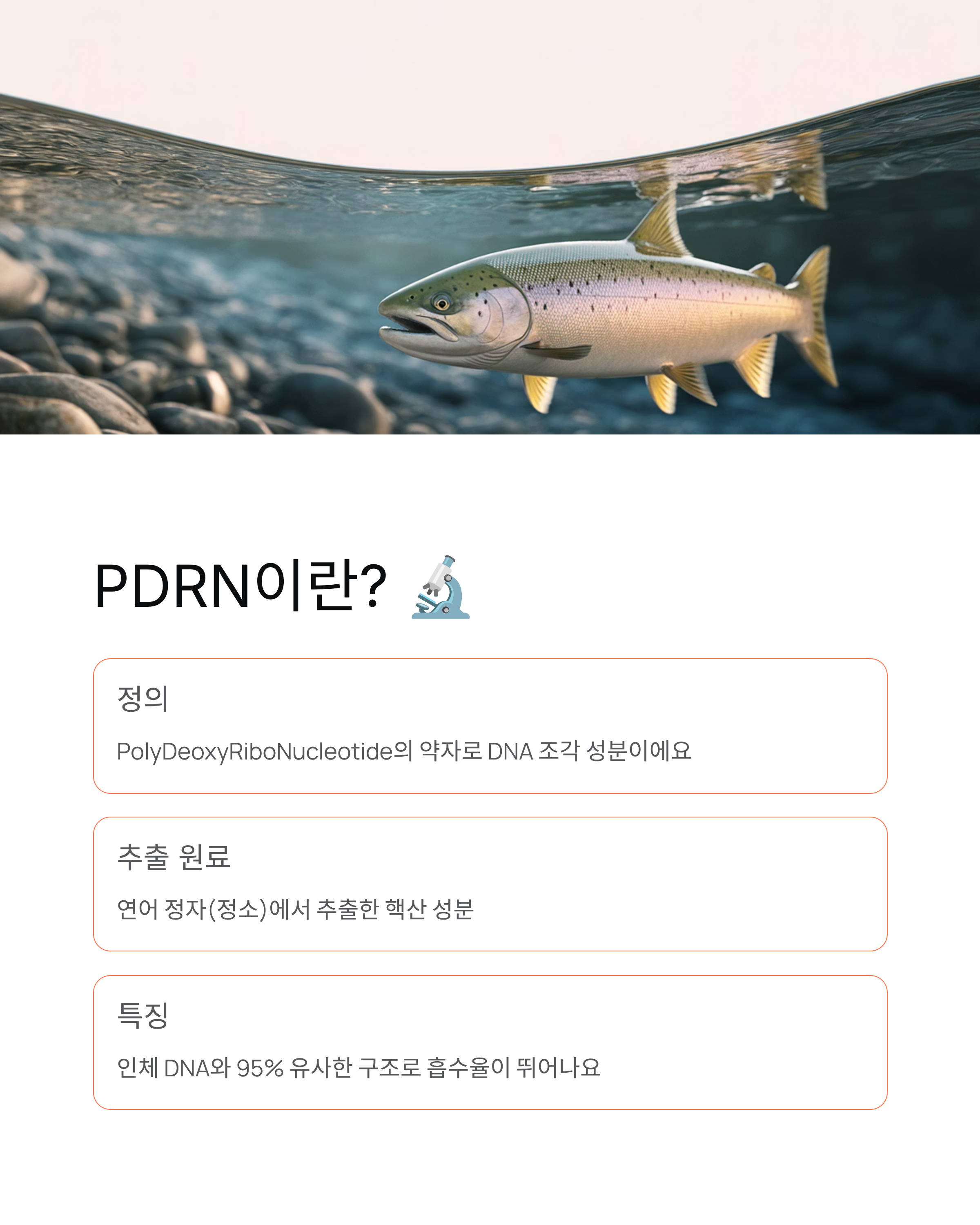 PDRN뜻 - 연어주사 성분과 효과 완벽 정리! 💉