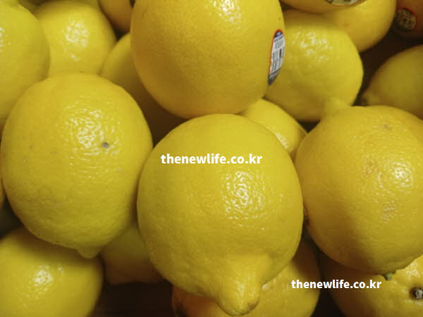 레몬수 효능 신장 건강 구연산 칼륨