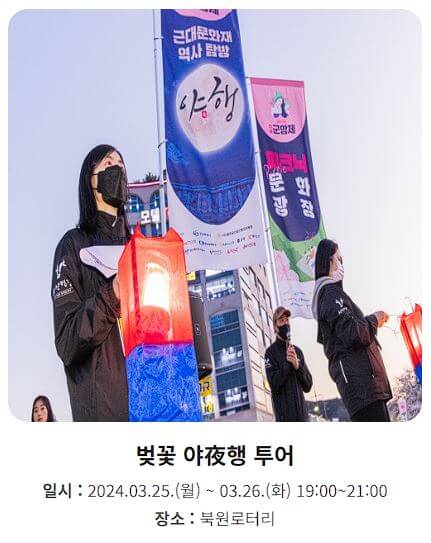 진해벚꽃축제