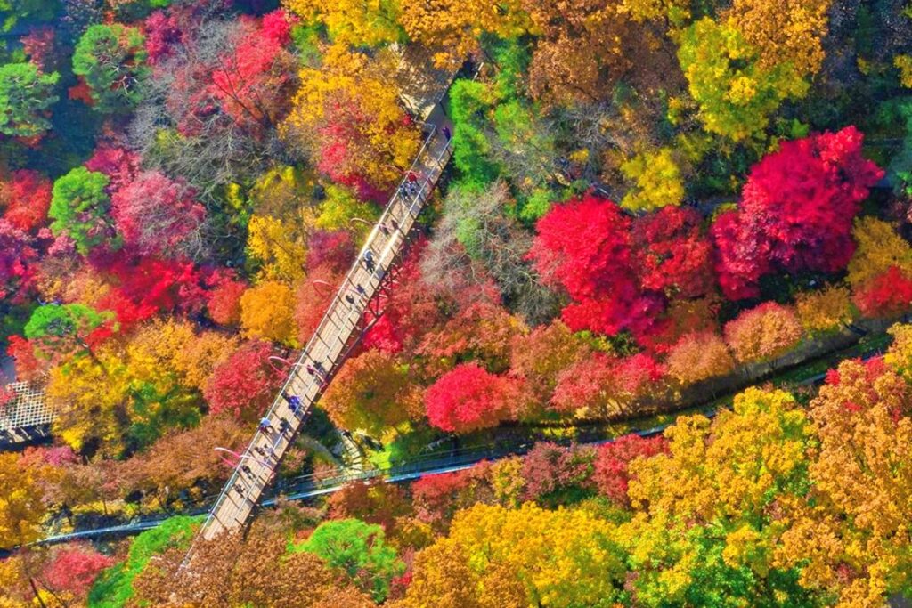 화담숲 예약