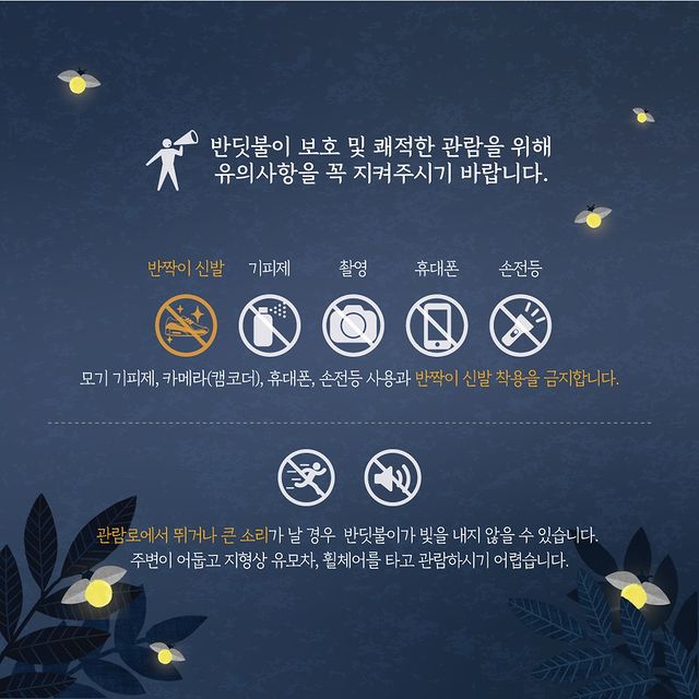 2024 화담숲 반딧불이 축제 예약 방법과 예매 일정 완벽 가이드