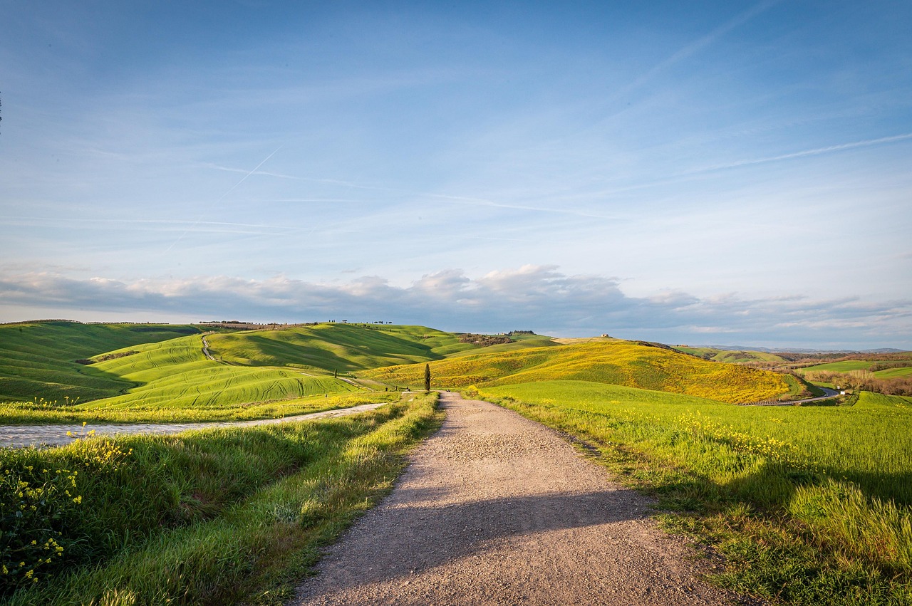 제10편 더닝-크루거 효과(Dunning–Kruger Effect): 능력이 낮을수록 자신의 능력을 과대평가하는 경향