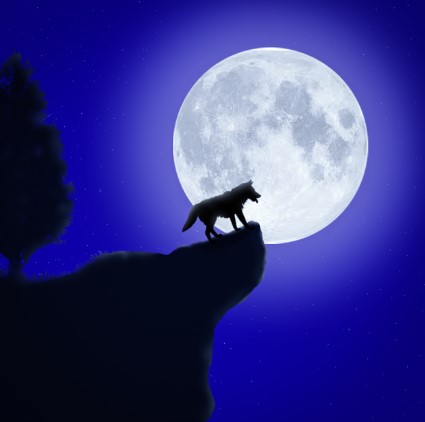 꽃피는 달의 신비와 의미 플라워문