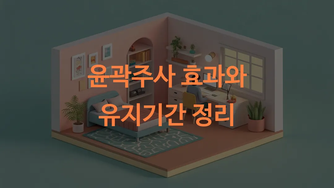 윤곽주사 효과와 유지기간 정리