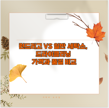 런드리고 VS 일반 세탁소, 드라이클리닝 가격과 품질 비교