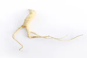 도라지
