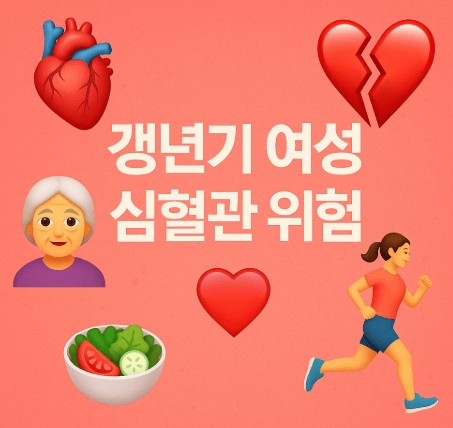 갱년기 여성 심혈관 질환 위험 증가 이유 — 호르몬·대사 변화와 예방법 사진