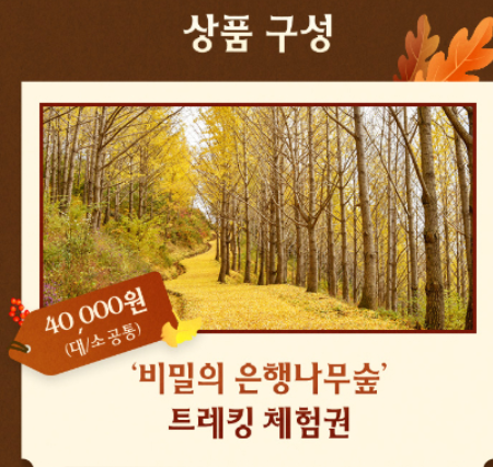 에버랜드은행나무-사진2