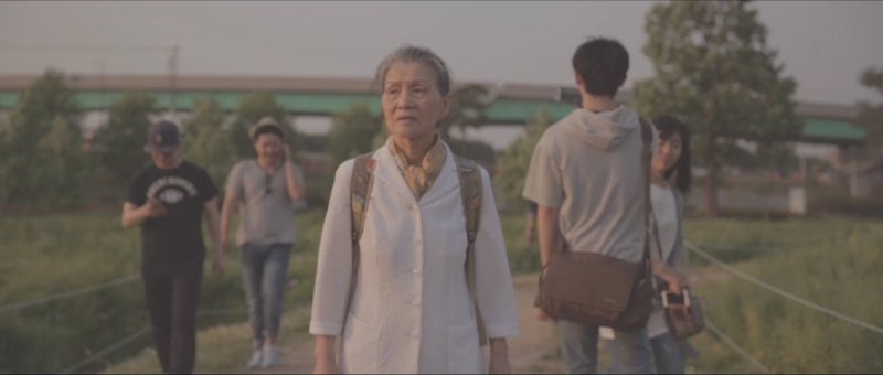 송광자 배우 작품 활동