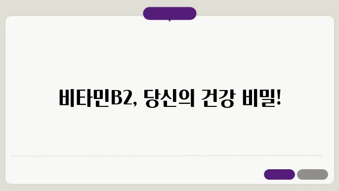 빔타민B2 효능