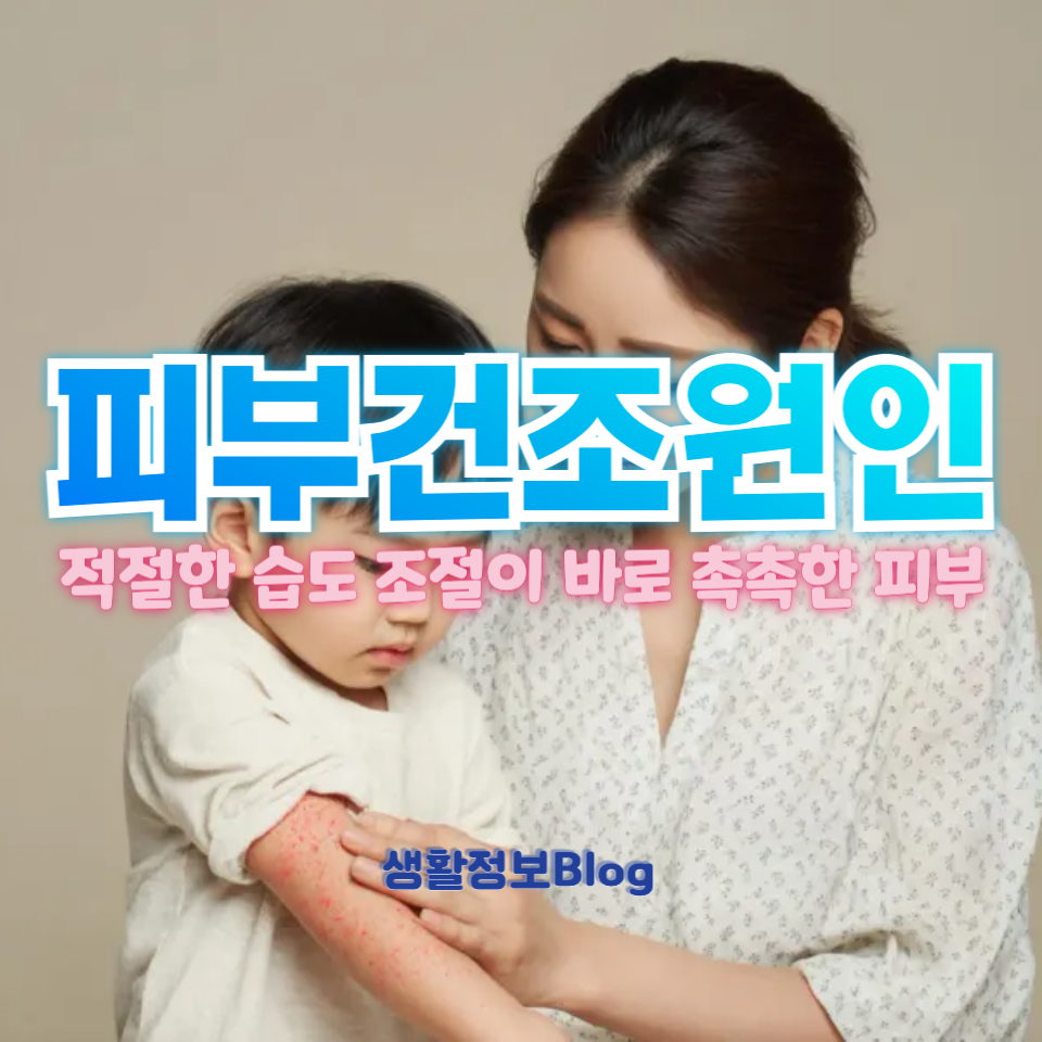 피부건조원인