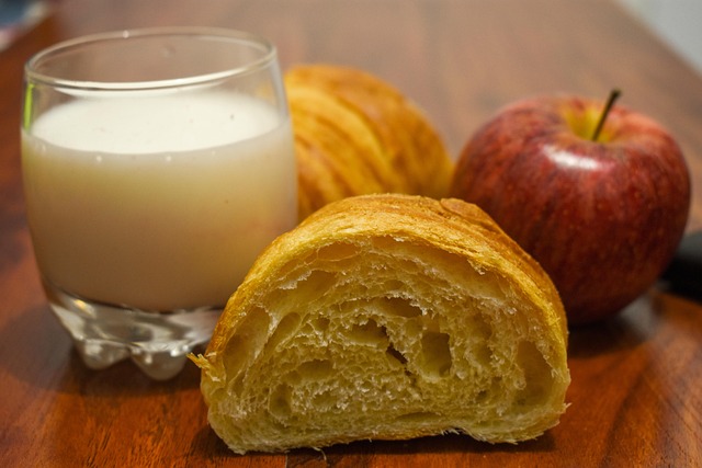 KT 종목 분석 배당 안정성은 무엇으로 결정될까