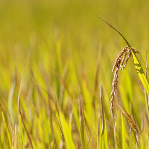 추석 연휴 할인혜택