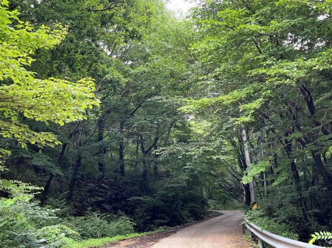 임실 가볼만한곳 베스트10