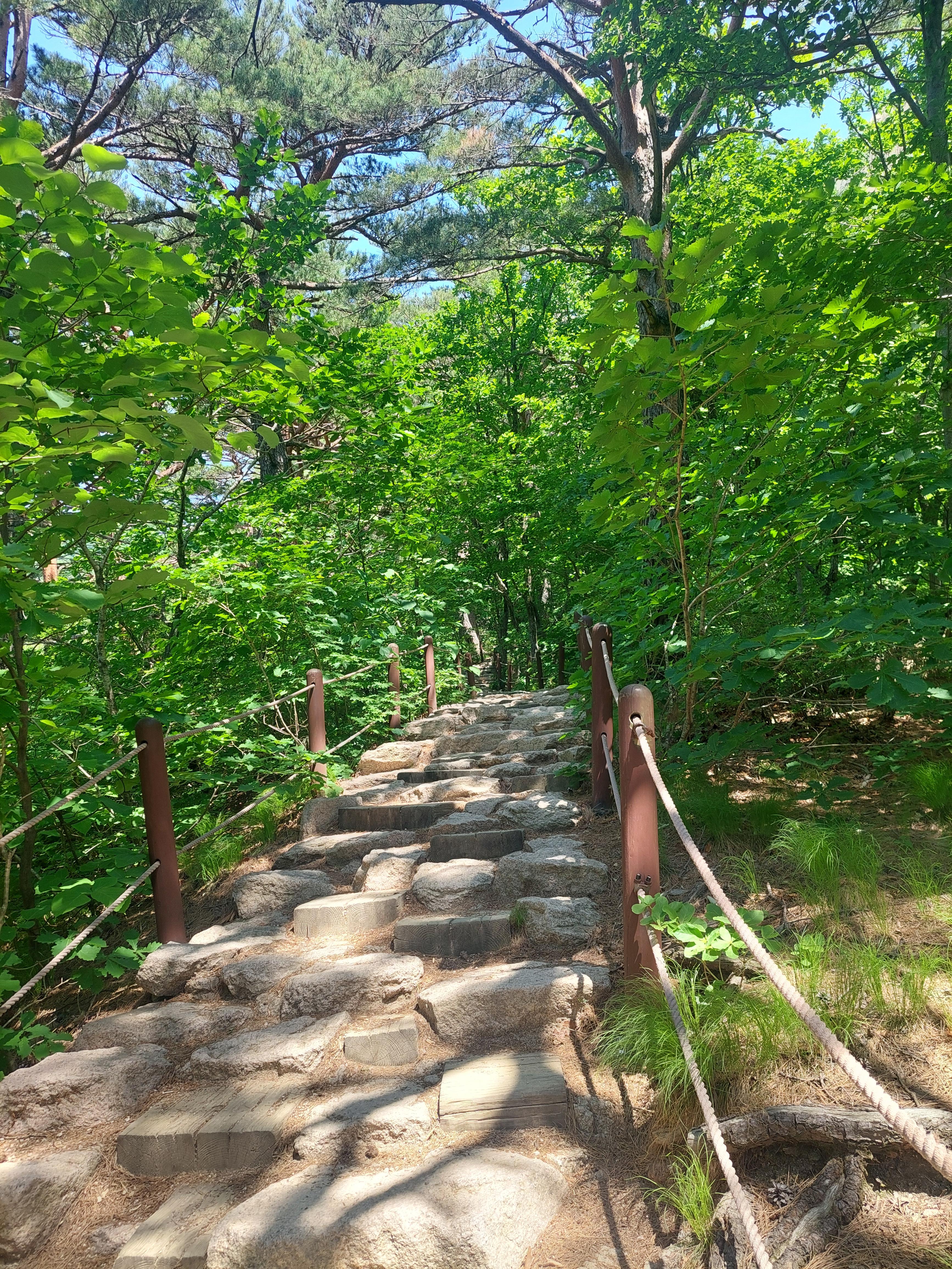 설악산