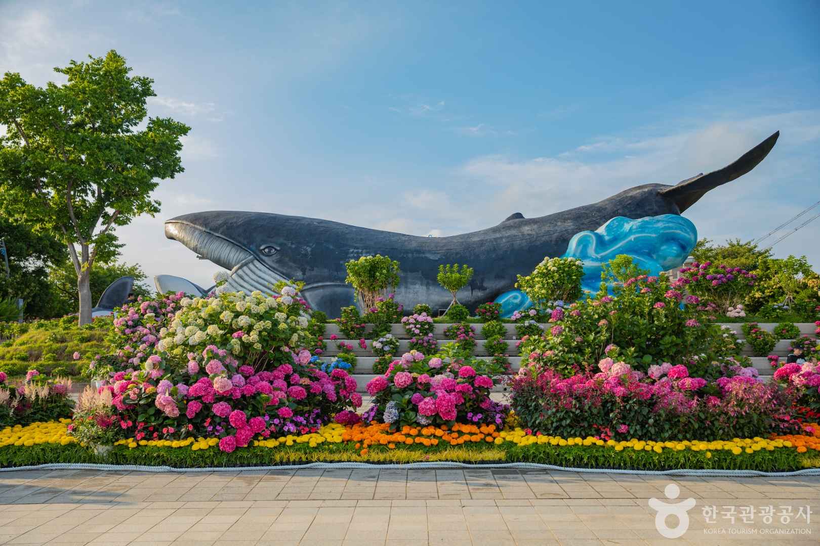 장생포 수국축제