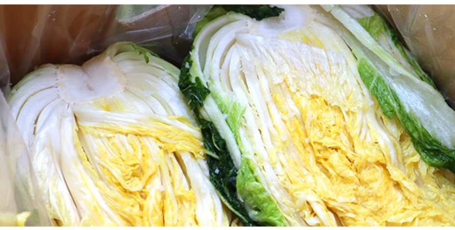 괴산 해남 대관령 절임배추 사전예약