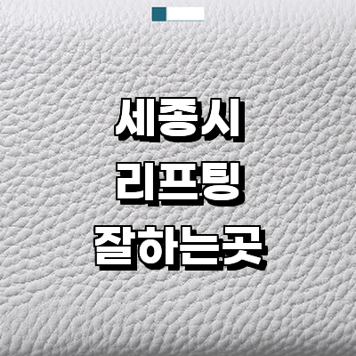 세종시 리프팅 병원