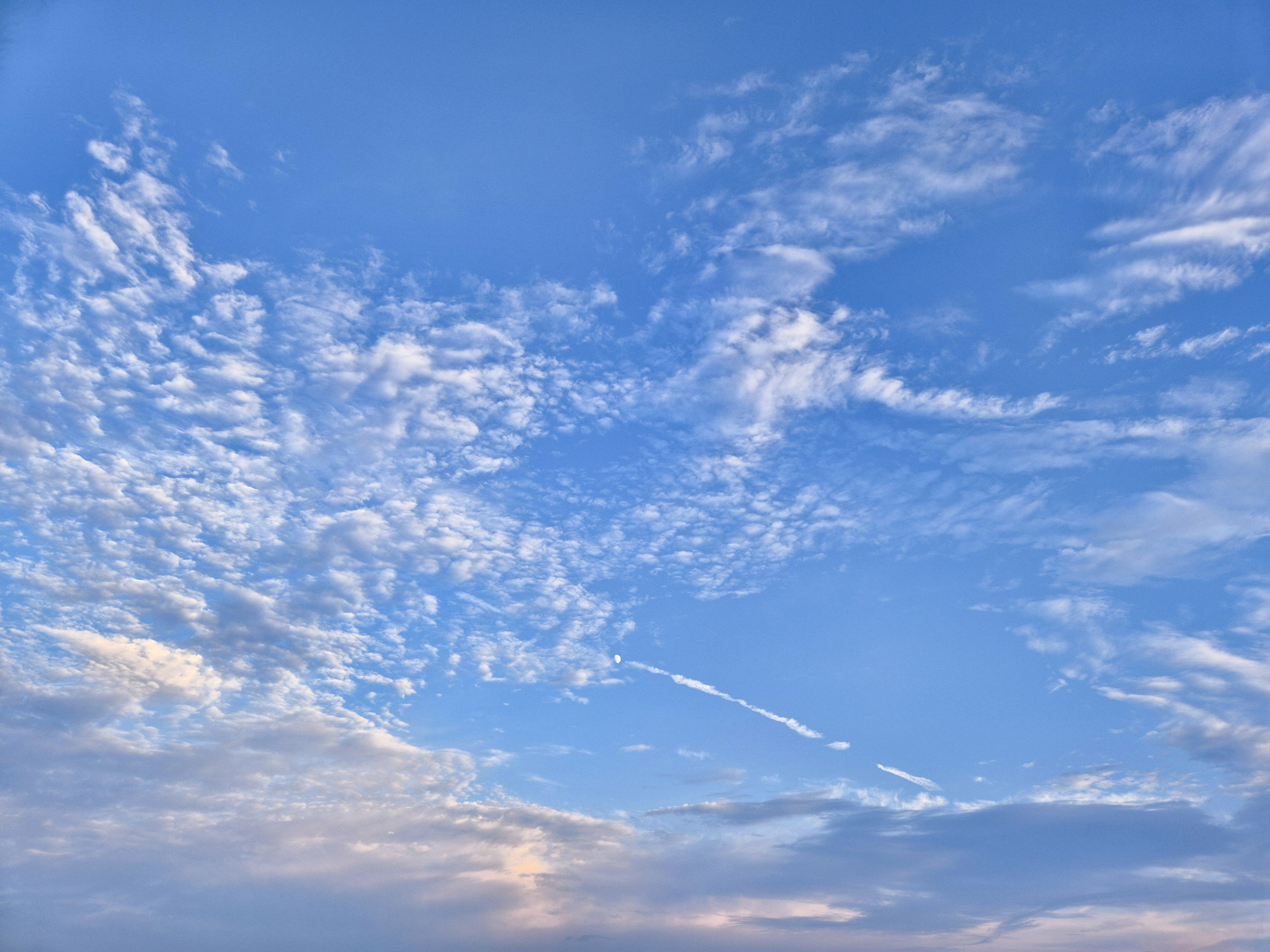 맑은 날의 우도 산호해수욕장 모습