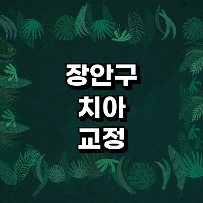 수원 장안구 교정 치과