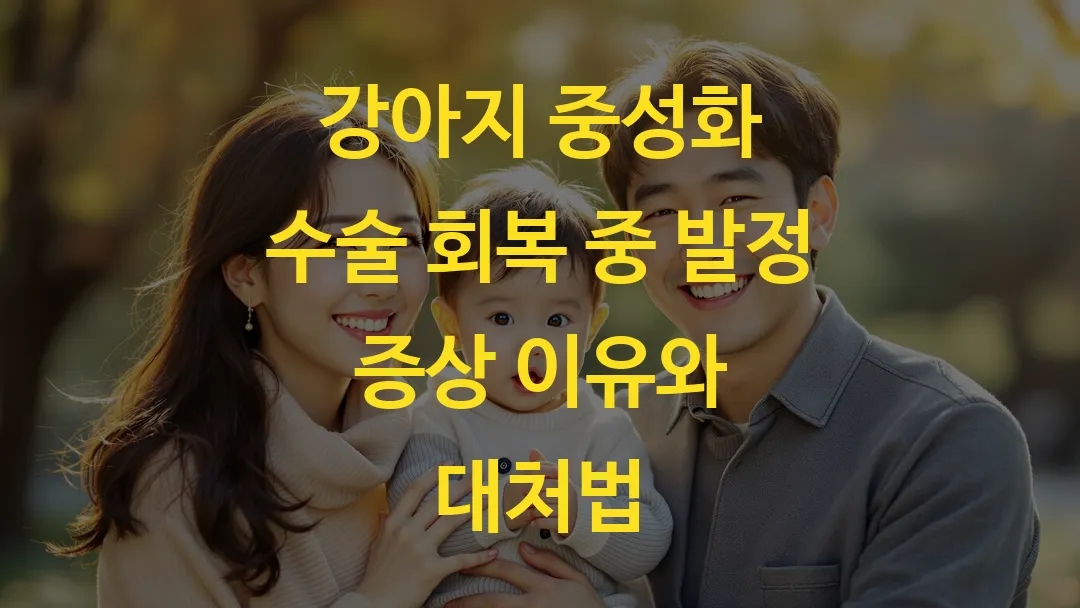 강아지 중성화 수술 회복 중 발정 증상 이유와 대처법