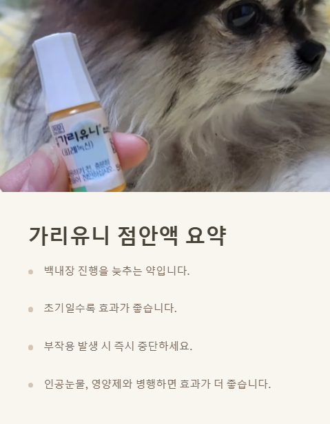 가리유니 점안안액 요약