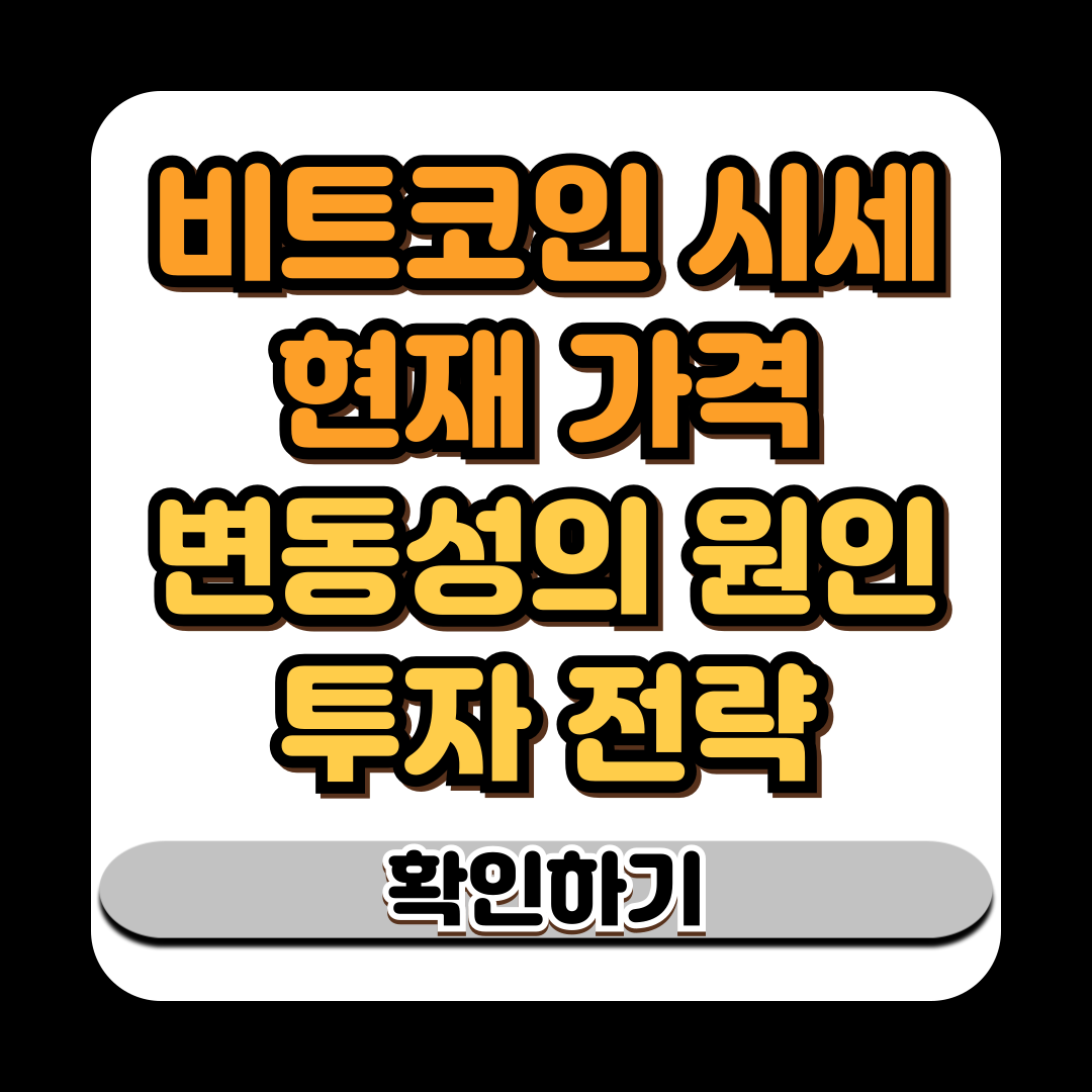 비트코인 시세 현재 가격 변동성의 원인과 투자 전략