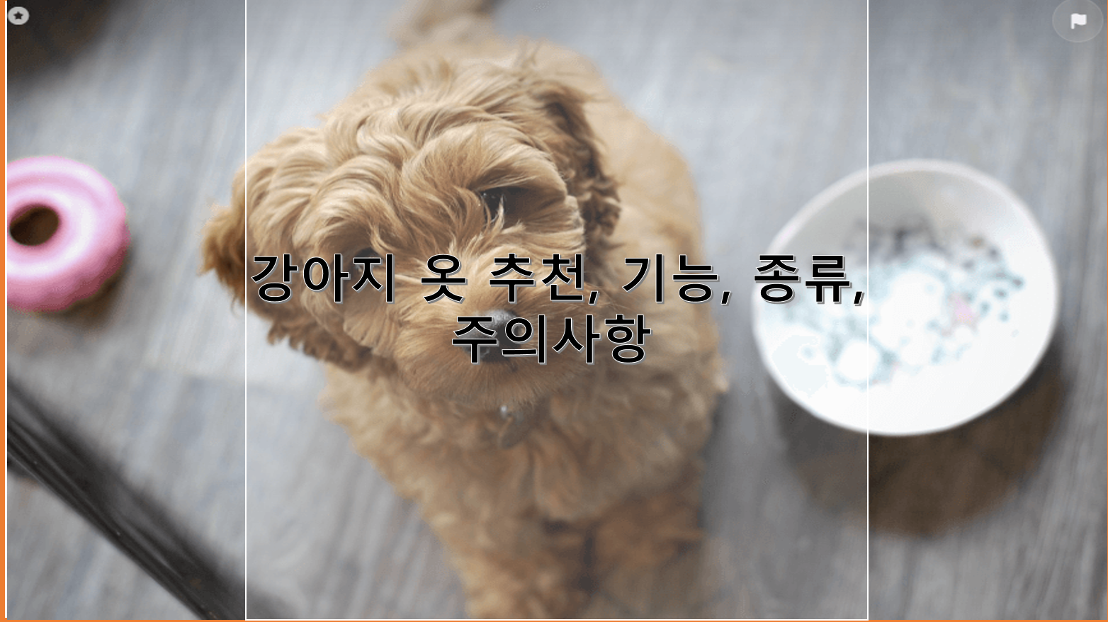 강아지 옷 추천, 기능