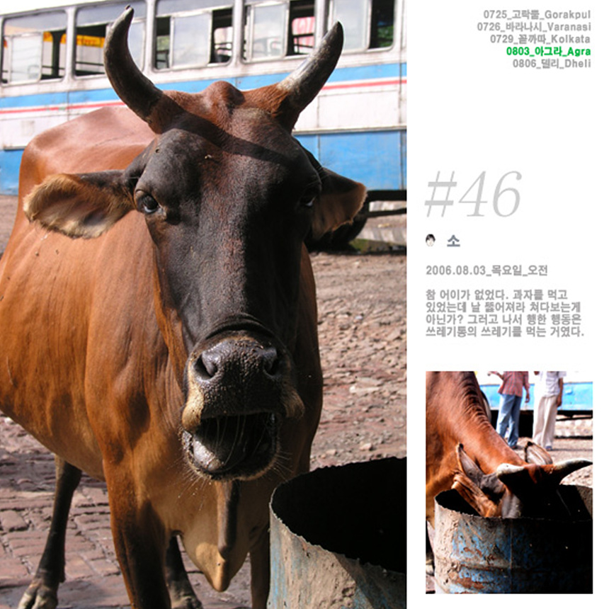 아그라에서 만난 소