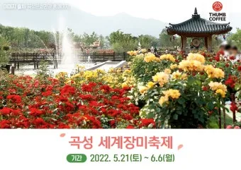 5월 가봐야할 전국 축제 10선 가족 연인 최고 명소_17
