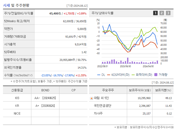 DL_기업개요