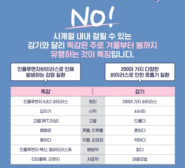 인플루엔자 특징