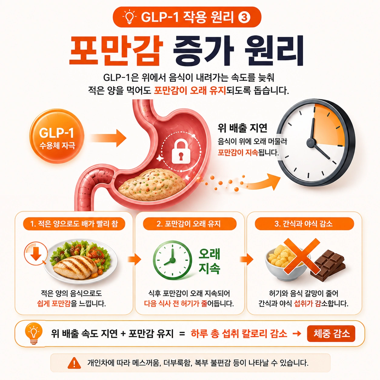 포만감-증가-원리