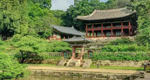 창덕궁 후원
