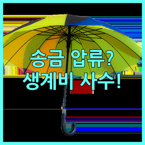 해외송금액 압류 방지 대안과 생계비 ..
