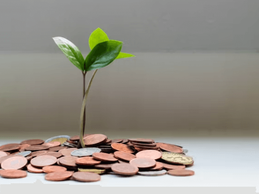 커버드콜 ETF: 고배당의 비밀과 현명한 투자 전략