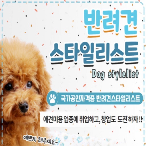 반려견-스타일리스트-하는일&#44;-유망-자격증-시험-상담신청하기