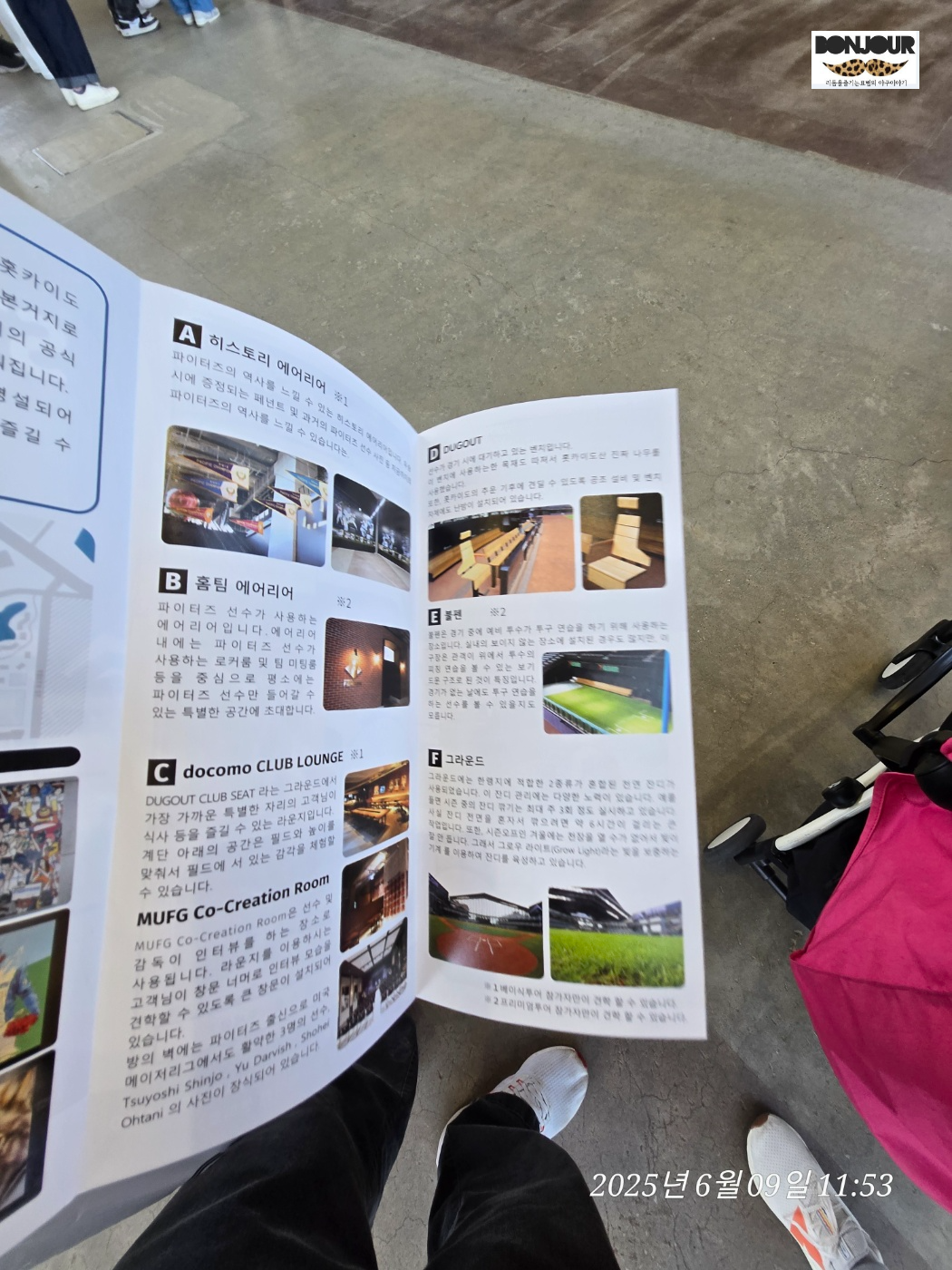 에스콘필드 돔투어 한글판 안내문 속 내용