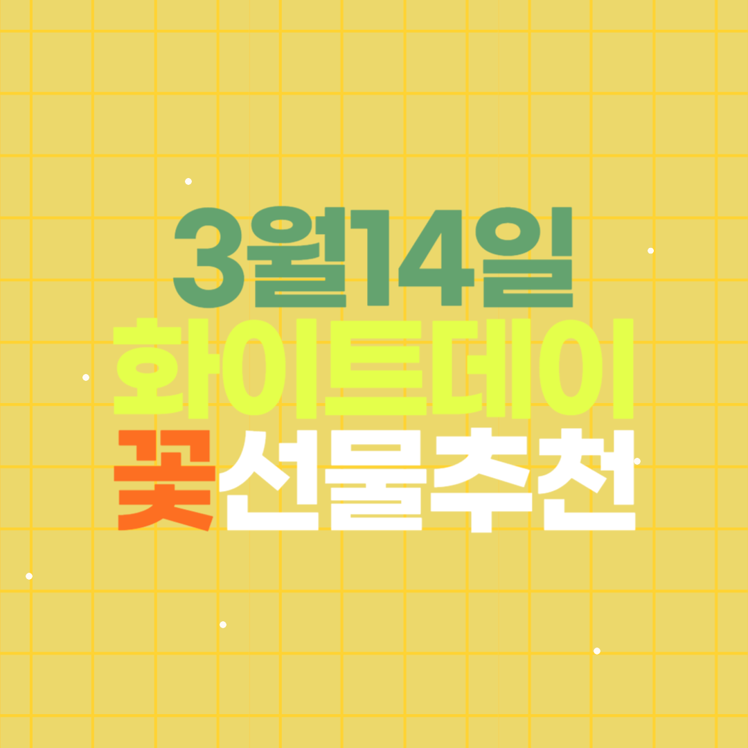 3월14일 화이트데이 꽃 선물 추천