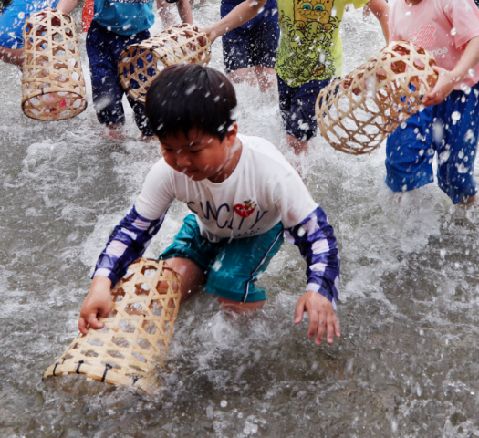 담양 대나무축제