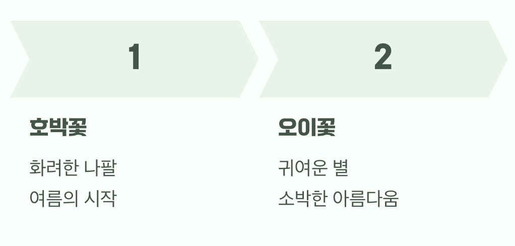 같은 노랑, 다른 운명