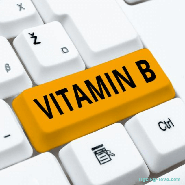 비타민 B