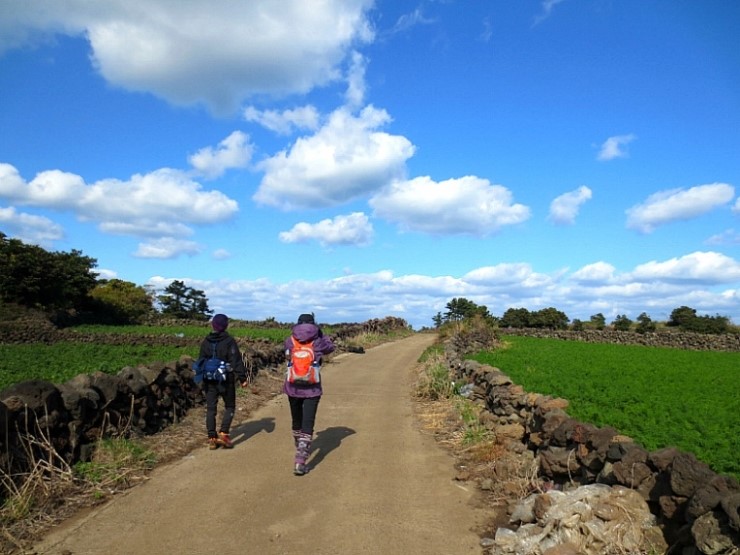 건강을 위한 걷기 제주올레걷기