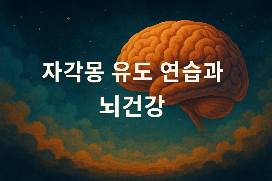 붉고 따뜻한 색조의 뇌 이미지가 별빛이 반짝이는 우주적 배경 위에 떠 있으며, 중앙에 “자각몽 연습이 뇌 가소성”이라는 문구가 선명하게 새겨져 있다. 뇌는 사실적인 디테일로 묘사되어 있으며, 배경은 파란 밤하늘과 붉은 구름이 조화를 이루며 신비로운 분위기를 자아낸다. 이 이미지는 자각몽이 뇌의 변화와 연관된 과정을 시각적으로 표현한다.