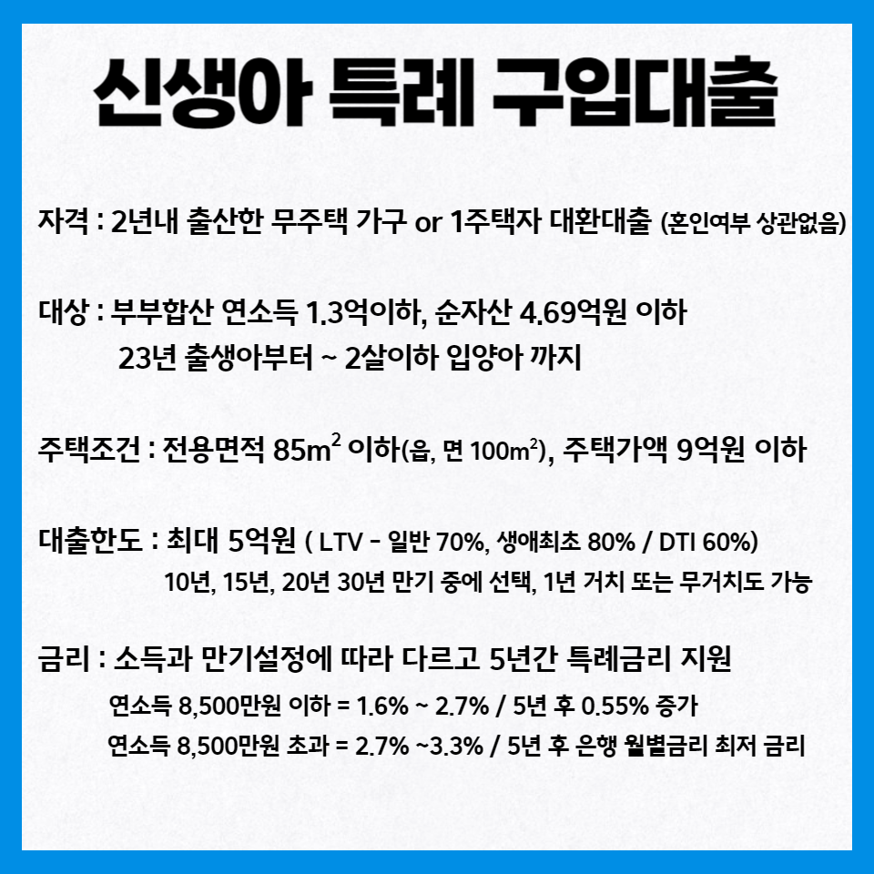 신생아 특례대출 요약 사진