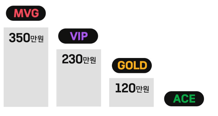 롯데마트-멤버십-스노우플랜-등급