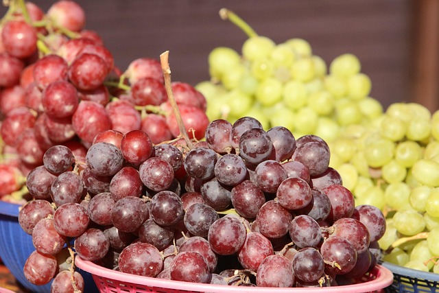 소비자와 전통시장의 ‘윈윈’