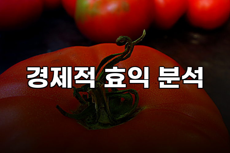 경제적 효익 분석