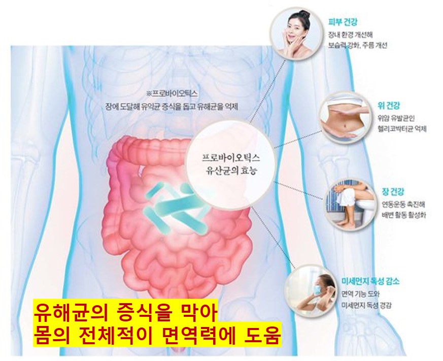 마이크로바이옴