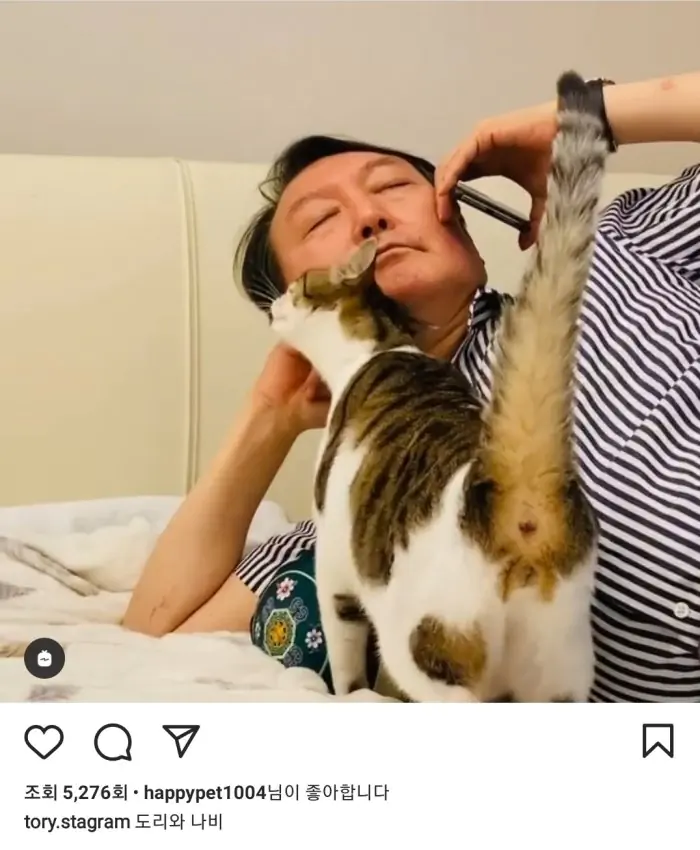 윤석열 유기묘 미담